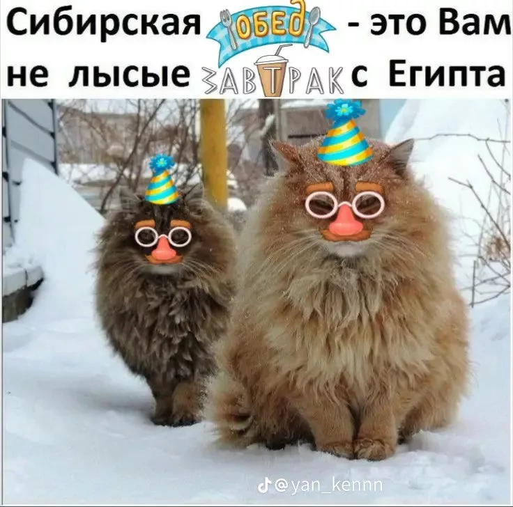 Обед Уютненько мем 2025