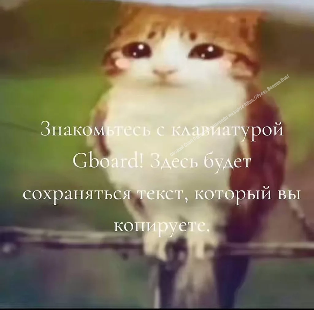 В чём прикол " Знакомьтесь с клавиатурой Gboard! Здесь будет сохраняться текст, который вы копируете " 2 Знакомьтесь с клавиатурой Gboard! Здесь будет сохраняться текст, который вы копируете.