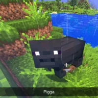 Что за Pigga в Майнкрафт - скачать мод