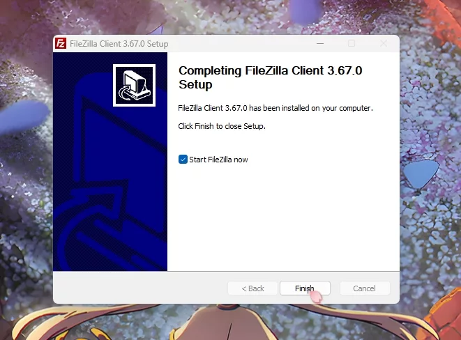 Установка FileZilla - 5