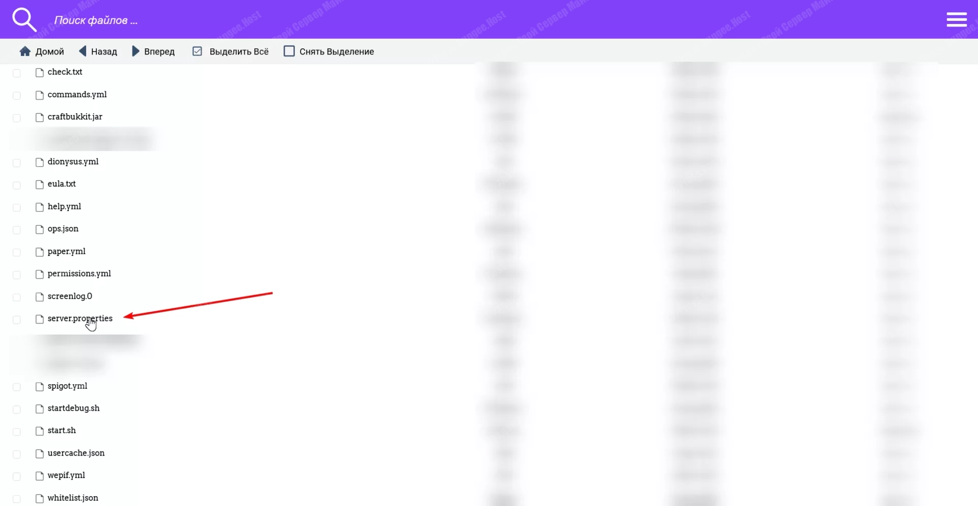 Как настроить RCON на сервере Майнкрафт - 100% Гайд 3 Где найти файл server.properties на сервере Майнкрафт