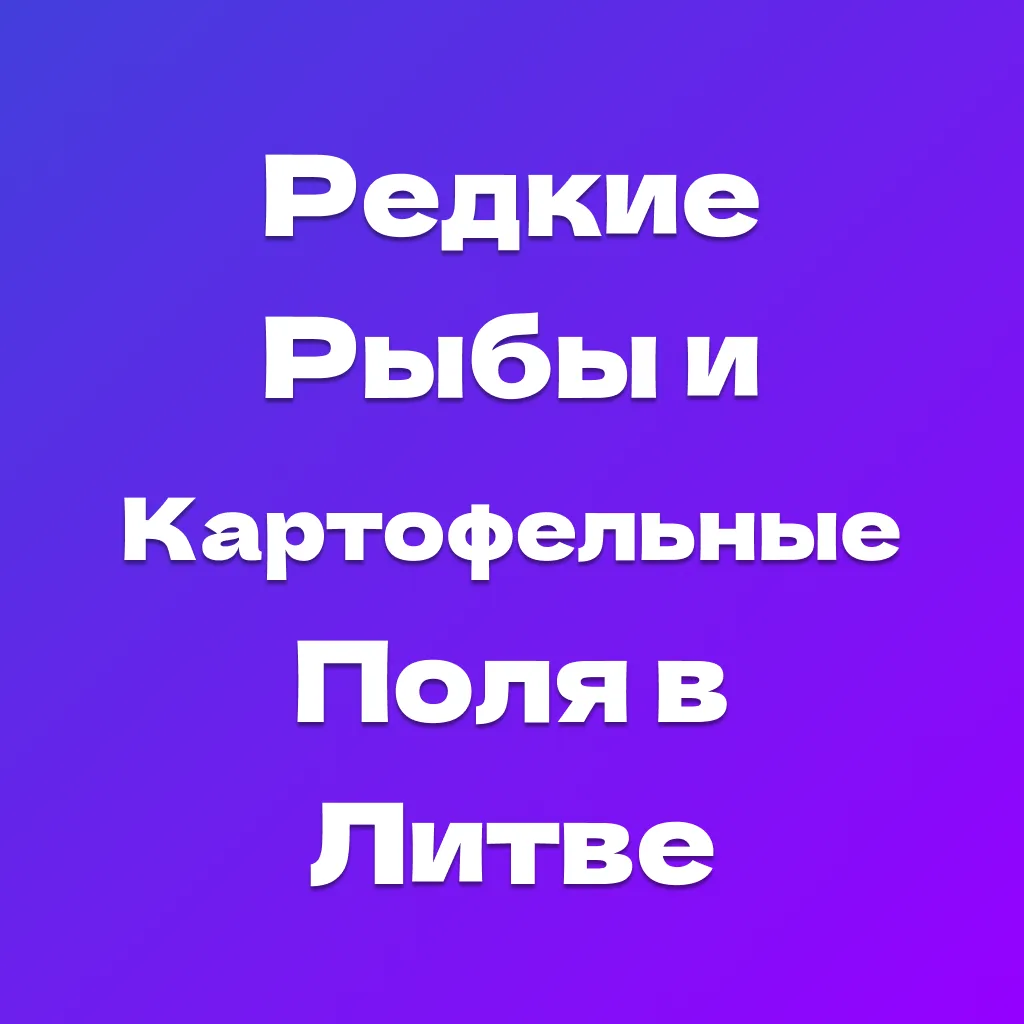 Что за Картофельные Поля в Литве, Редкие рыбы и чешский песок: в чём мем и как вложиться